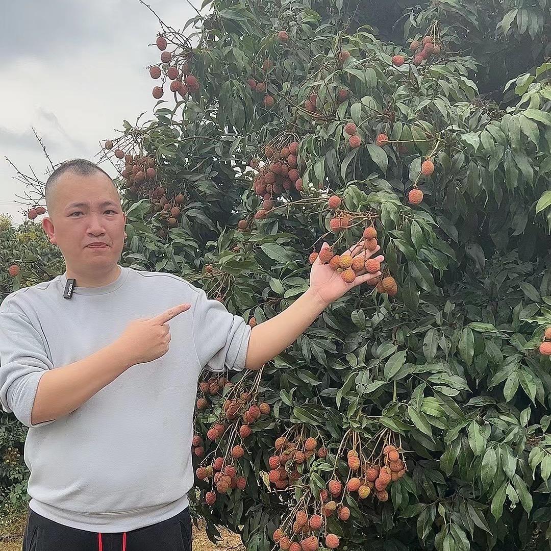 湛江荔枝哥【月饼季】