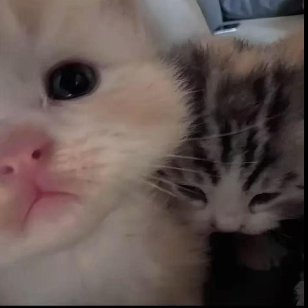 T.
