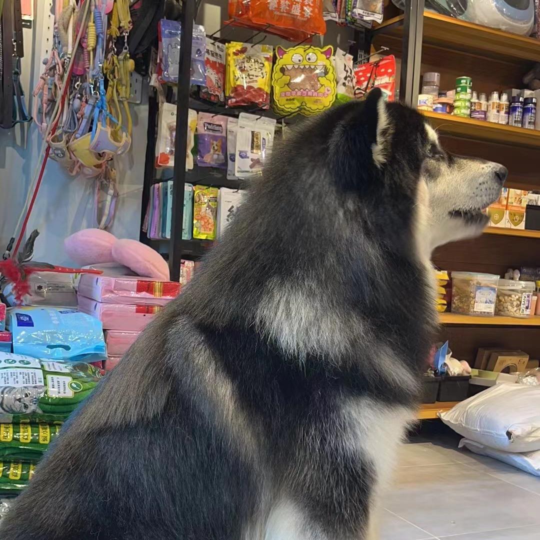 @张百万爱生活
