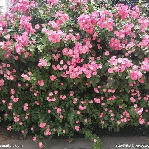 义乌市龙莎电子商户商行2店