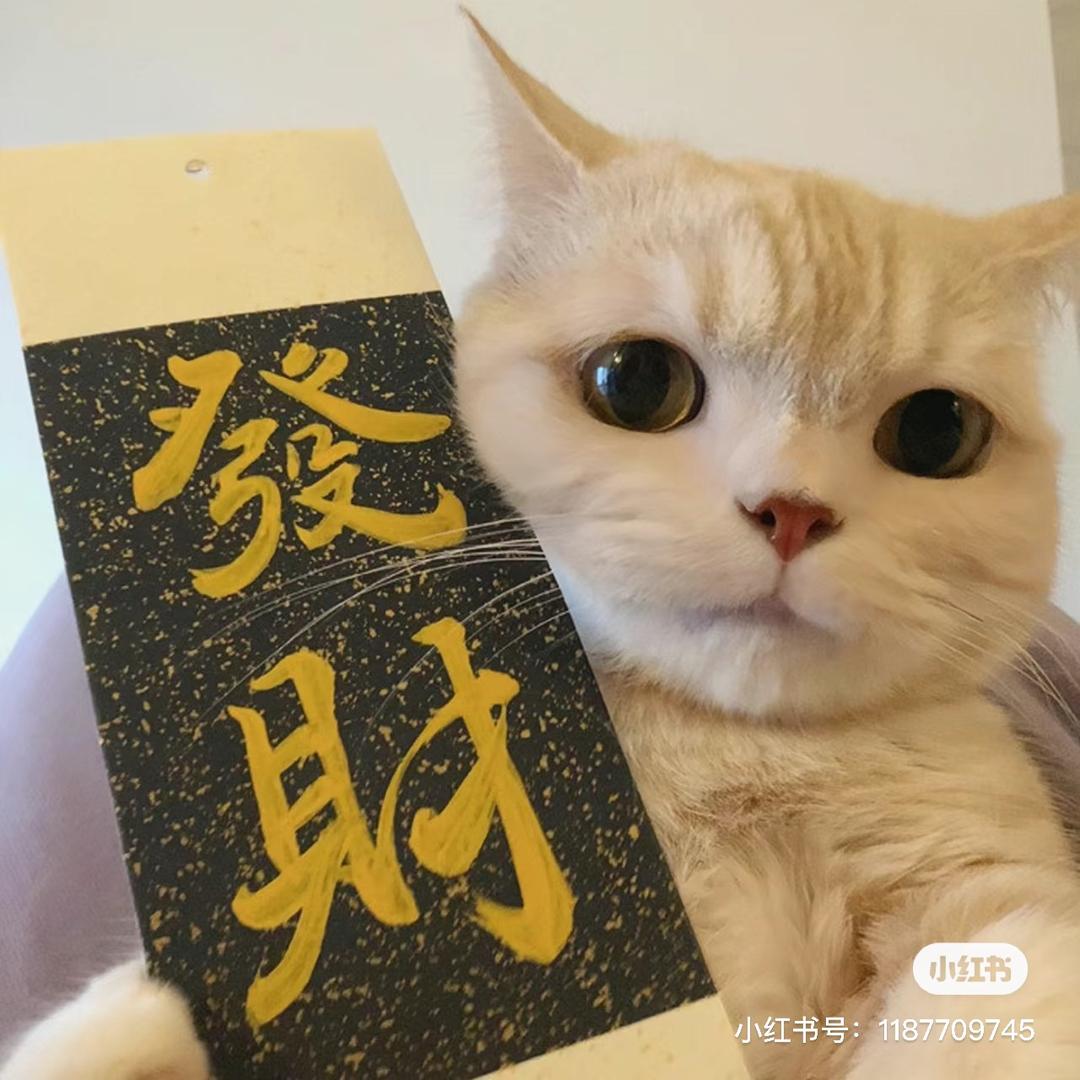 潜心分享