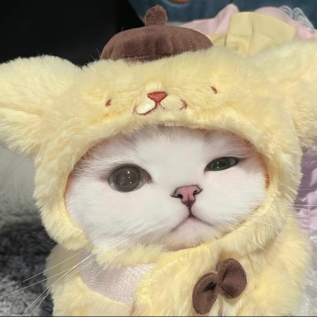 雨辰声音好迷人