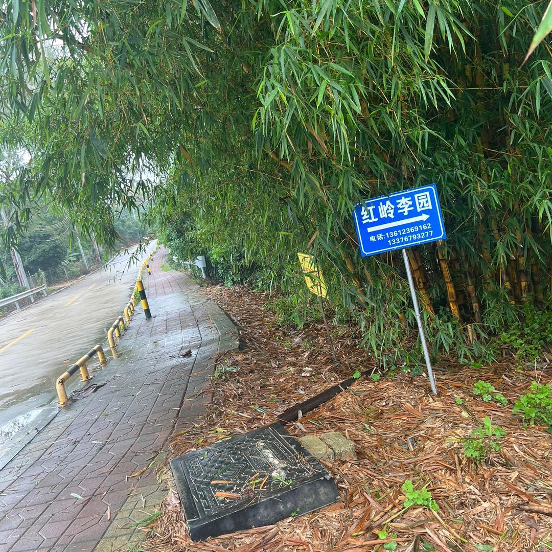 红岭李园