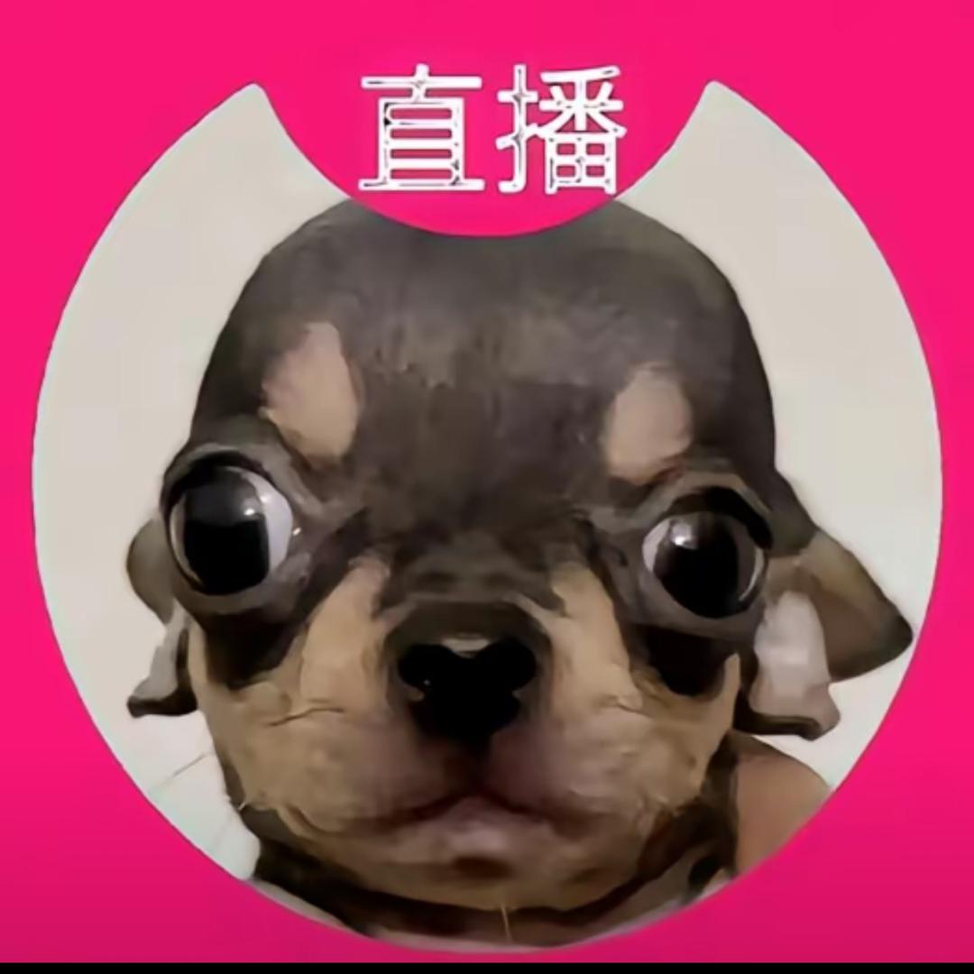 美乃滋拌饭