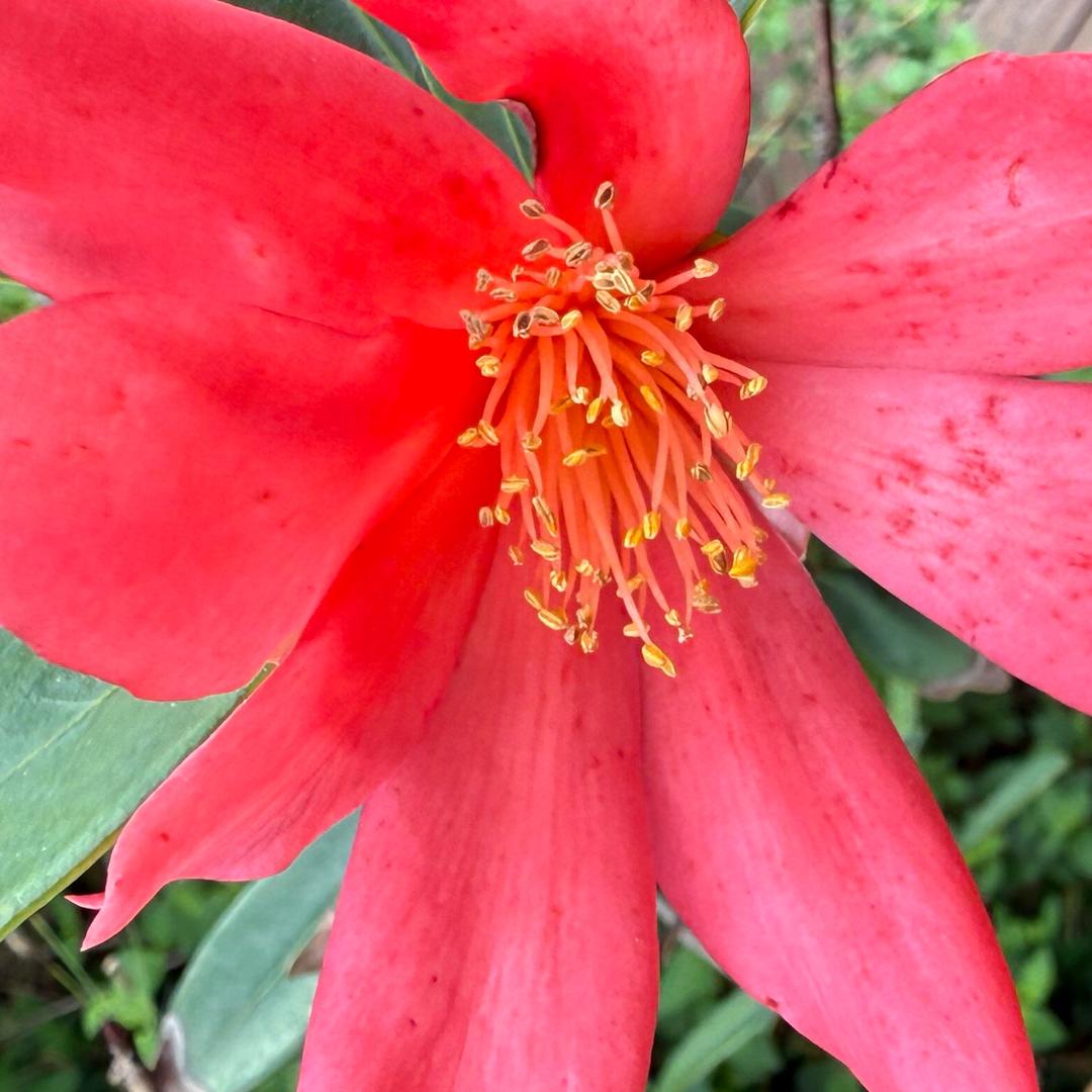 和田印象养生馆