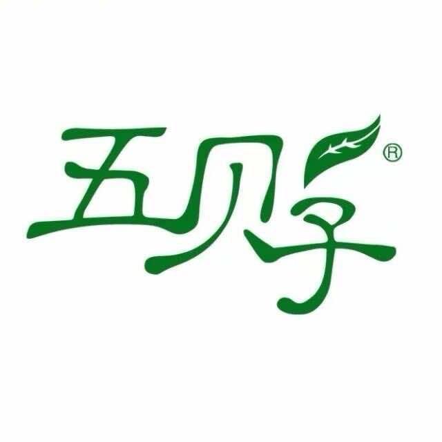 渭南五贝子植物染发养发上上店