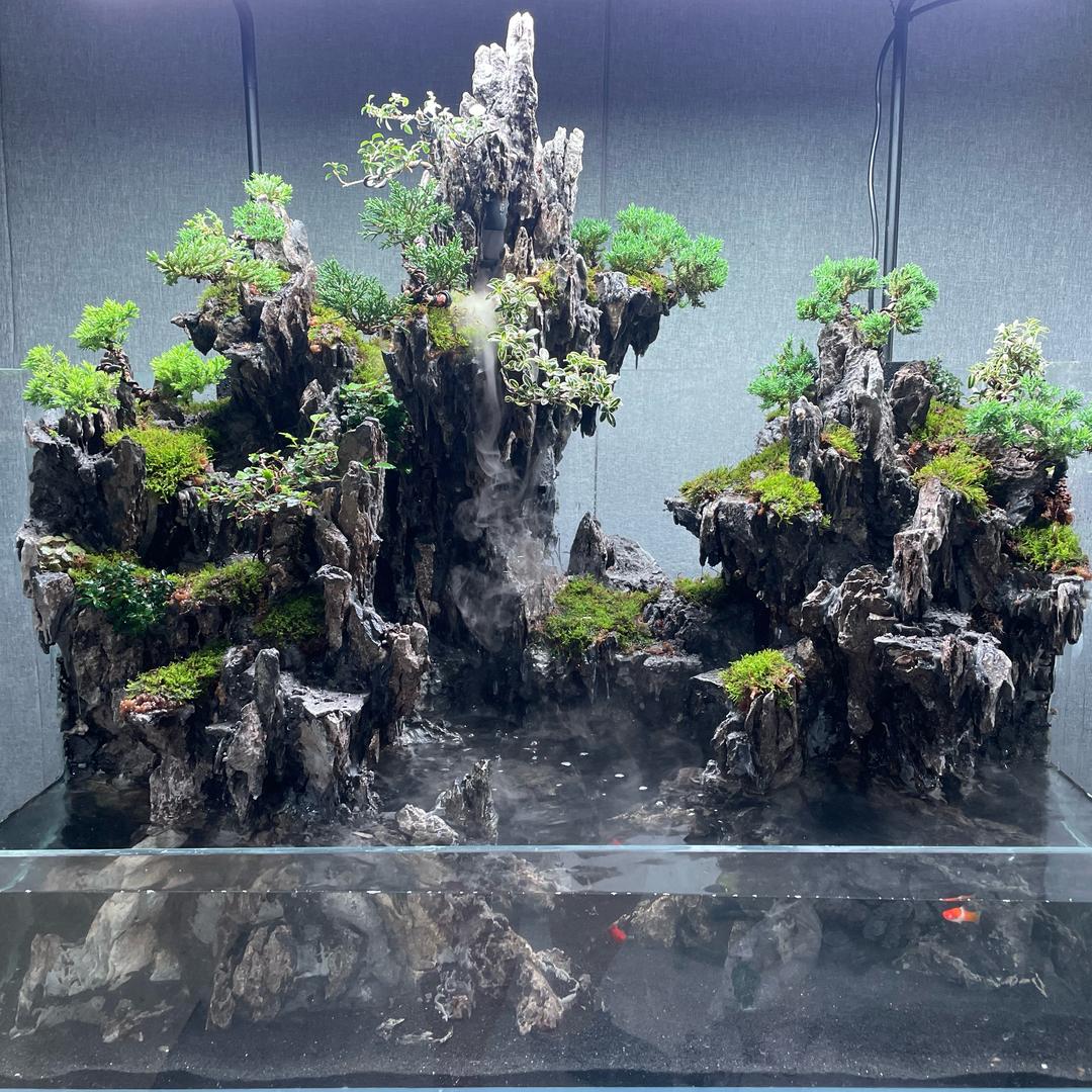 涛 ⛰️
