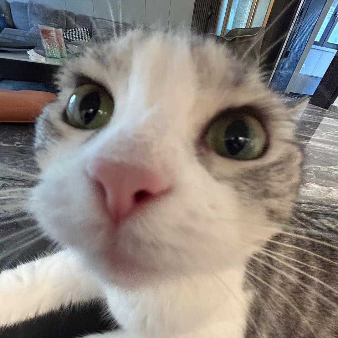 知悟