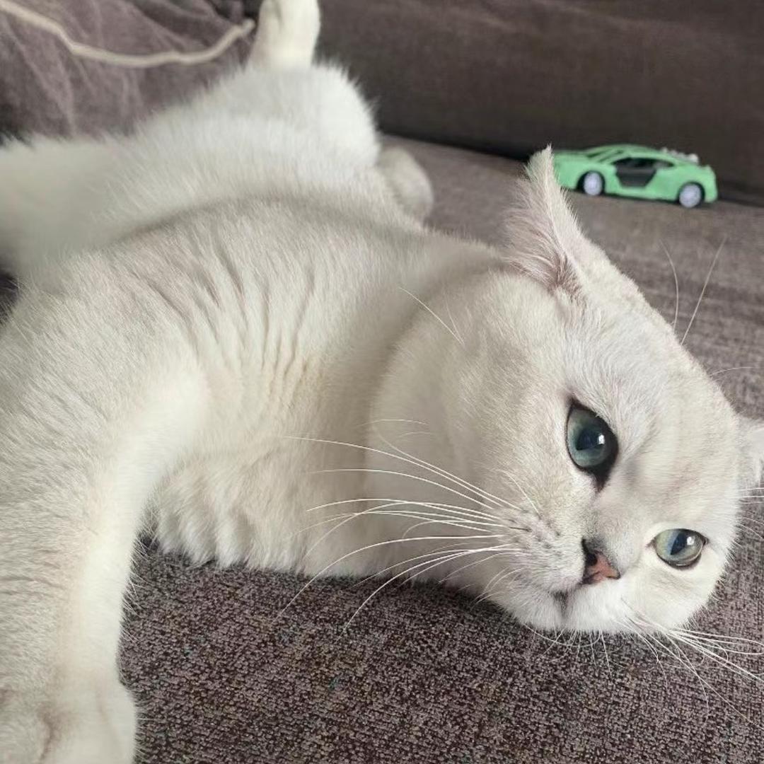 梦梦、