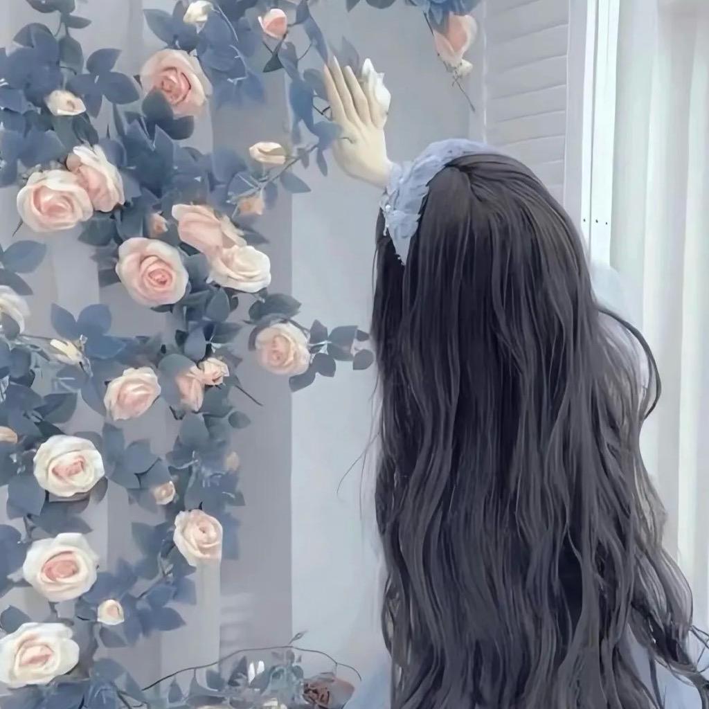 (｡◕ˇ∀ˇ◕)