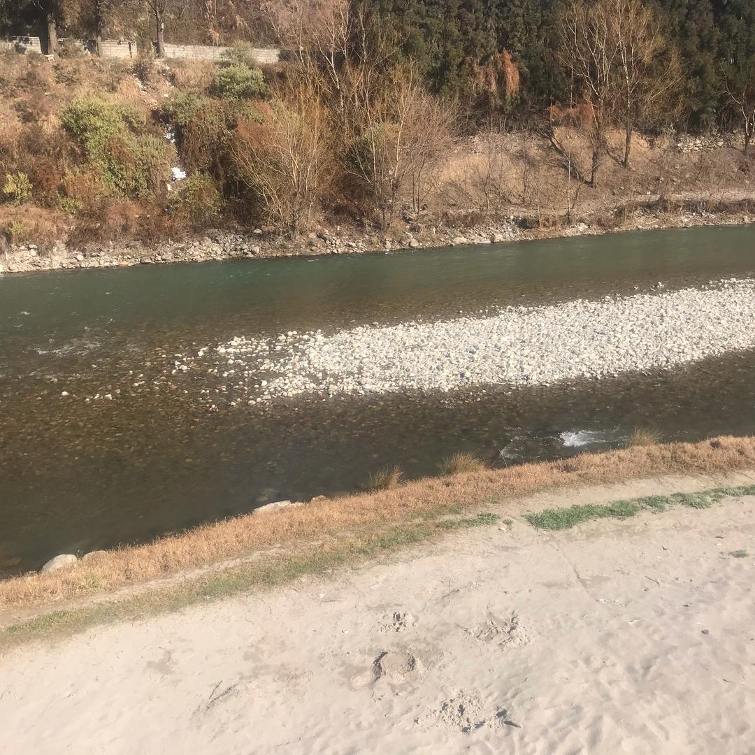 手中沙水中月🌾
