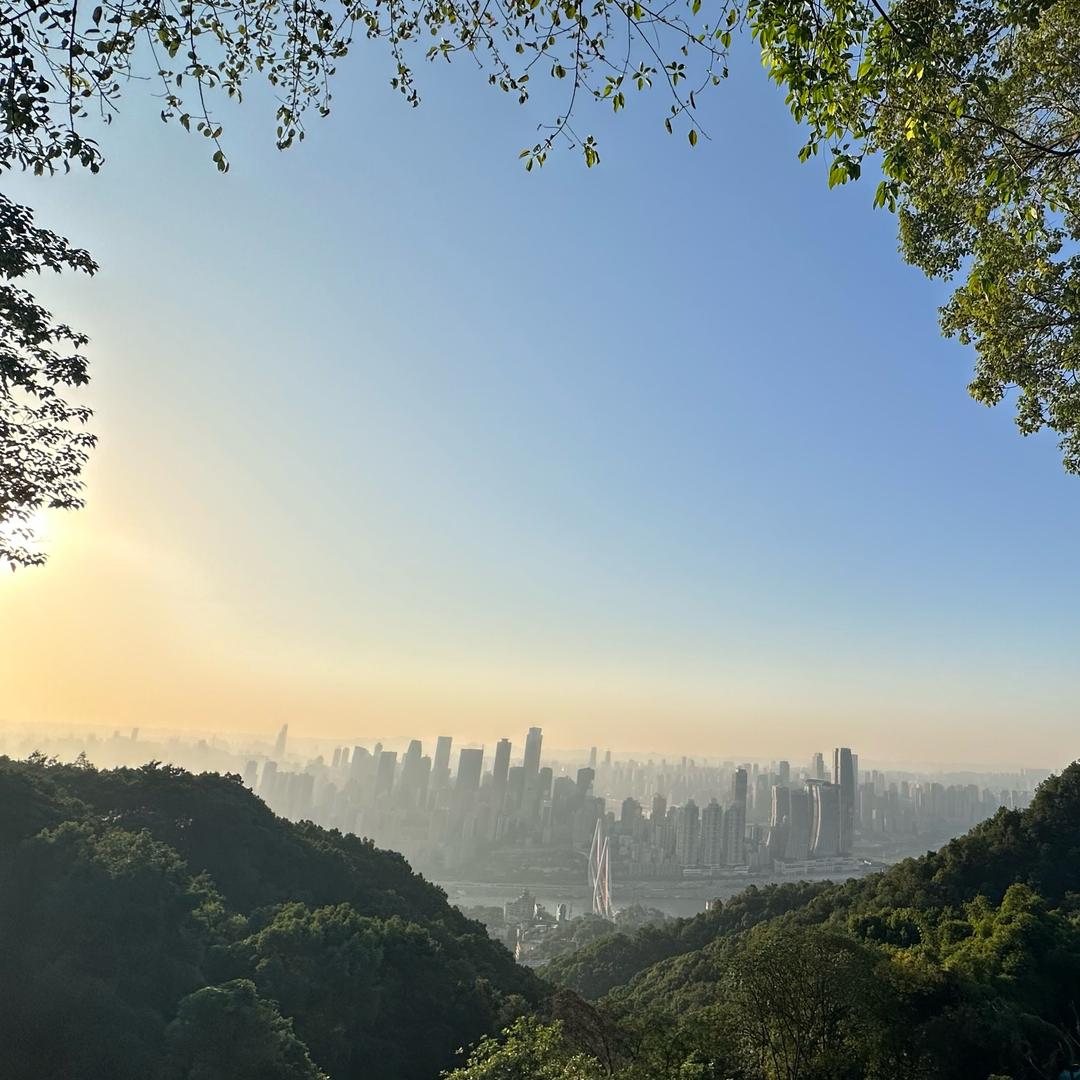 大旺旺