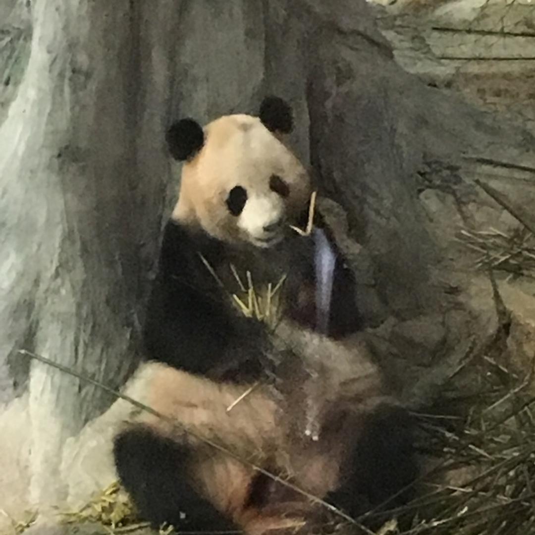 戳