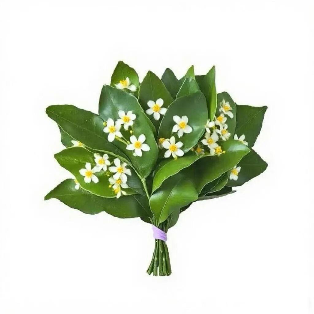 ssling游千金女鞋2号店