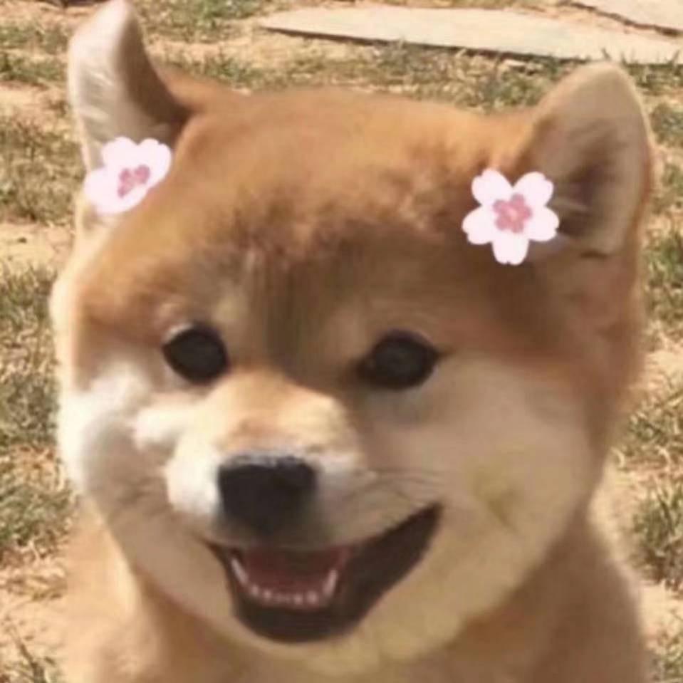 赵新星