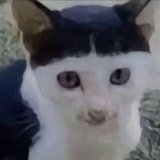 這是你的錯