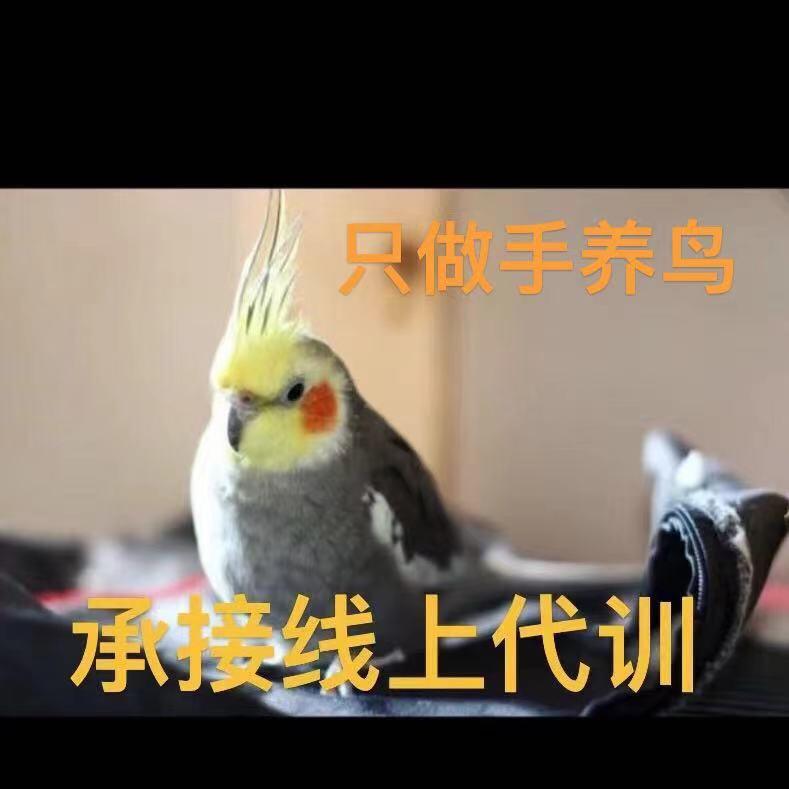 小旭
