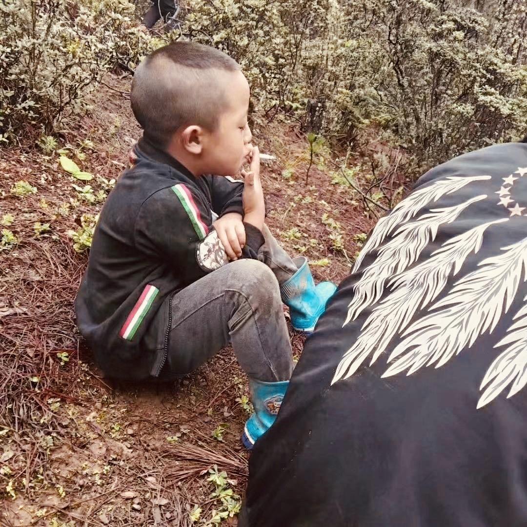 梦毁少年沉醉