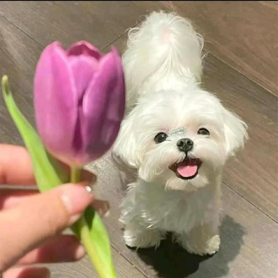 我不留长头发了（家人永远健康平安）