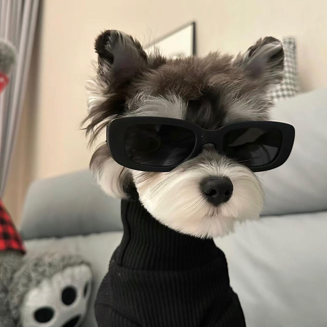 愛意隨風起 ❗️