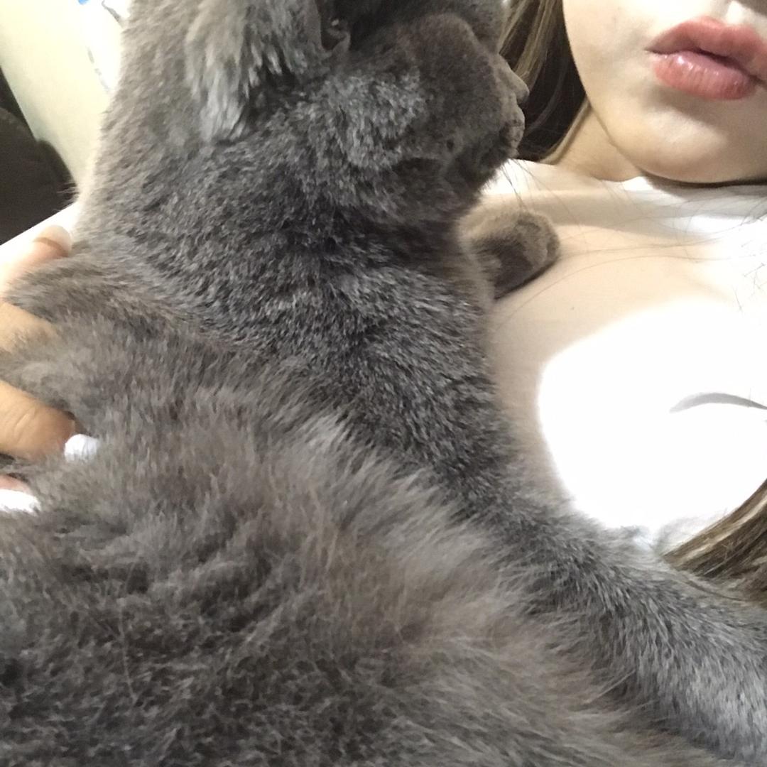 .      小苹果