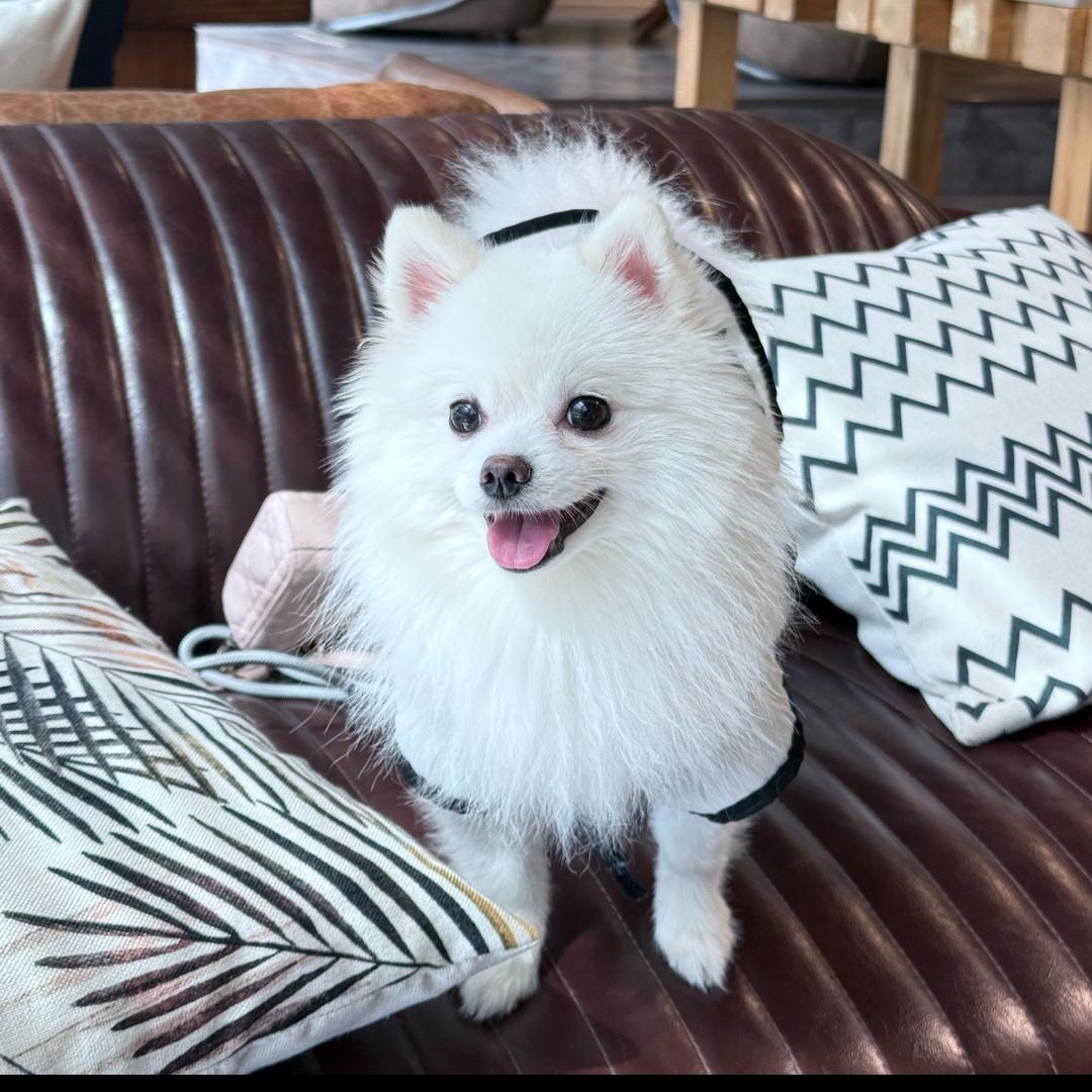 是Lucky吖