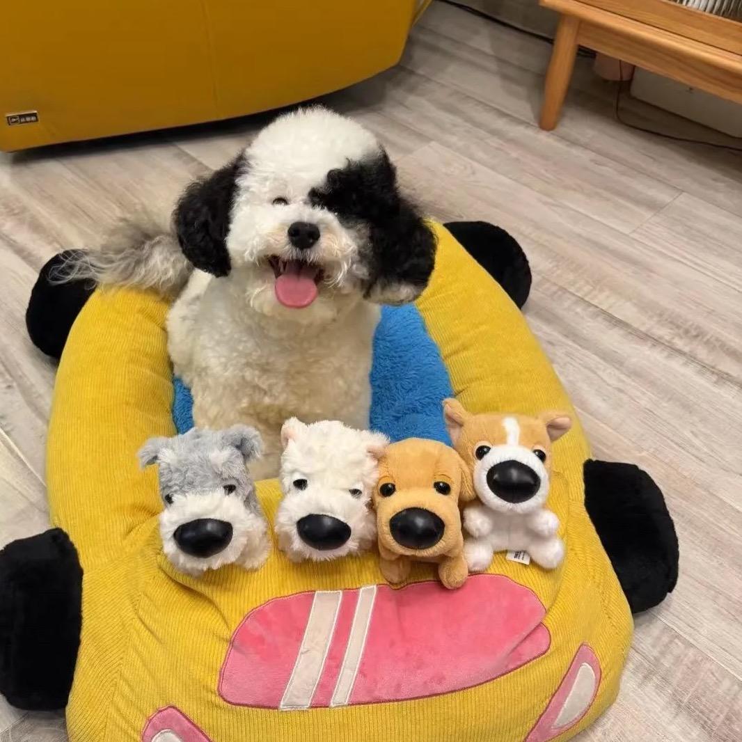 辣椒炒肉不要辣