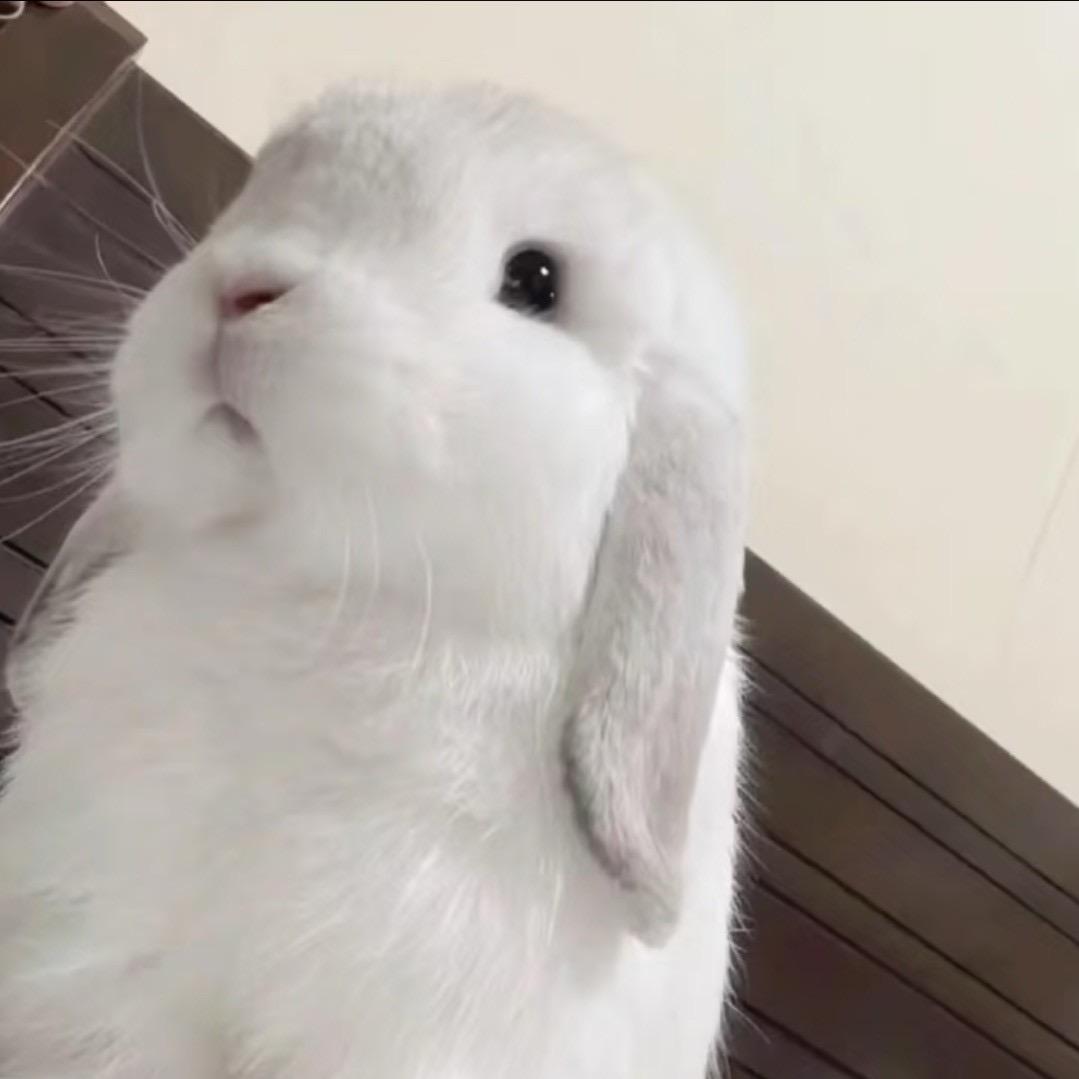 这个王8鱼如此萌