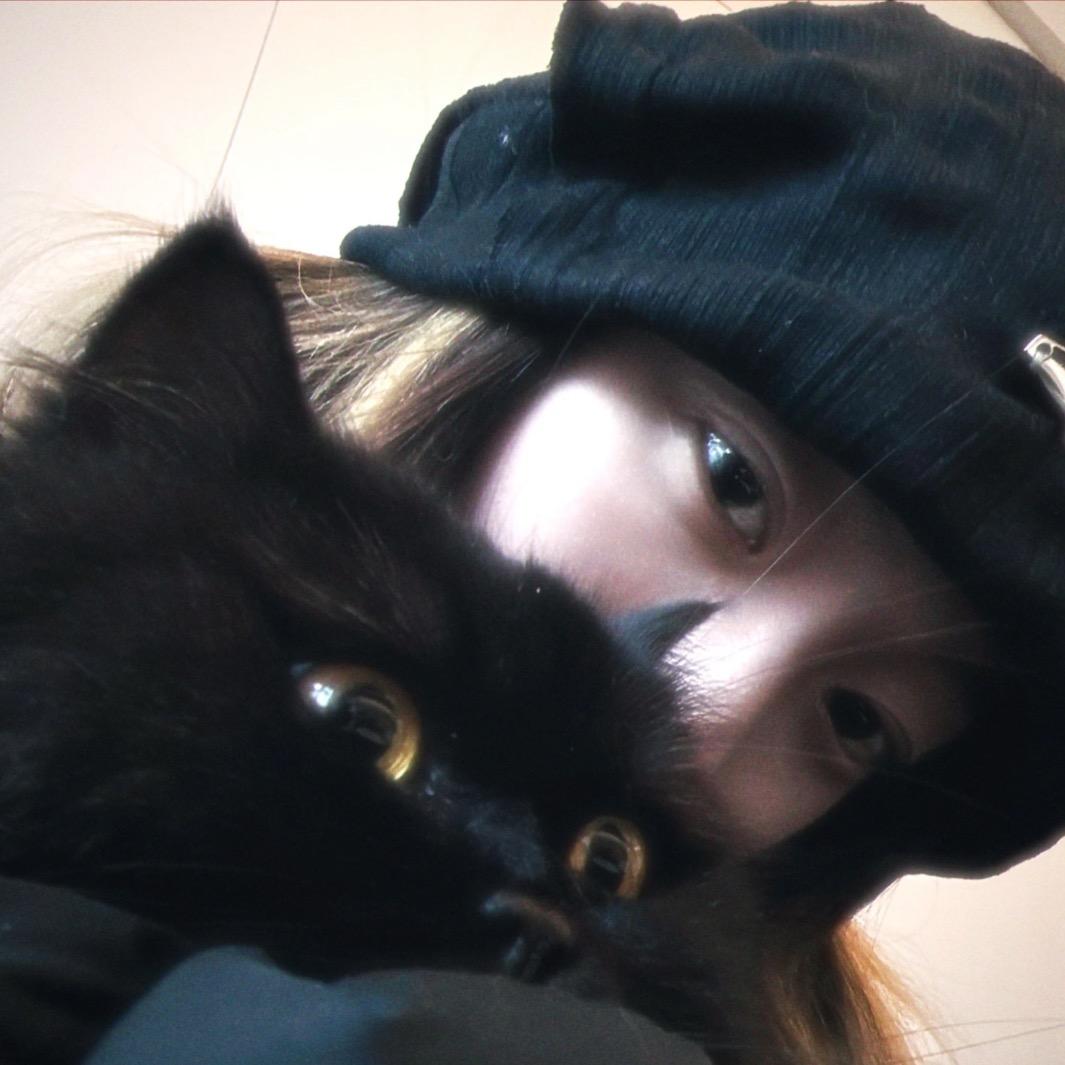 凌晨一点的猫
