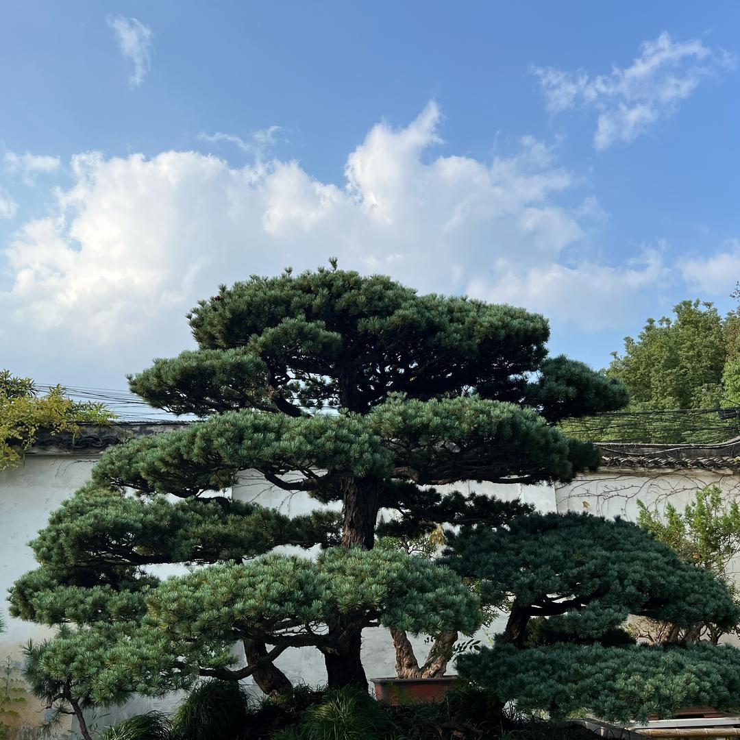别坈我