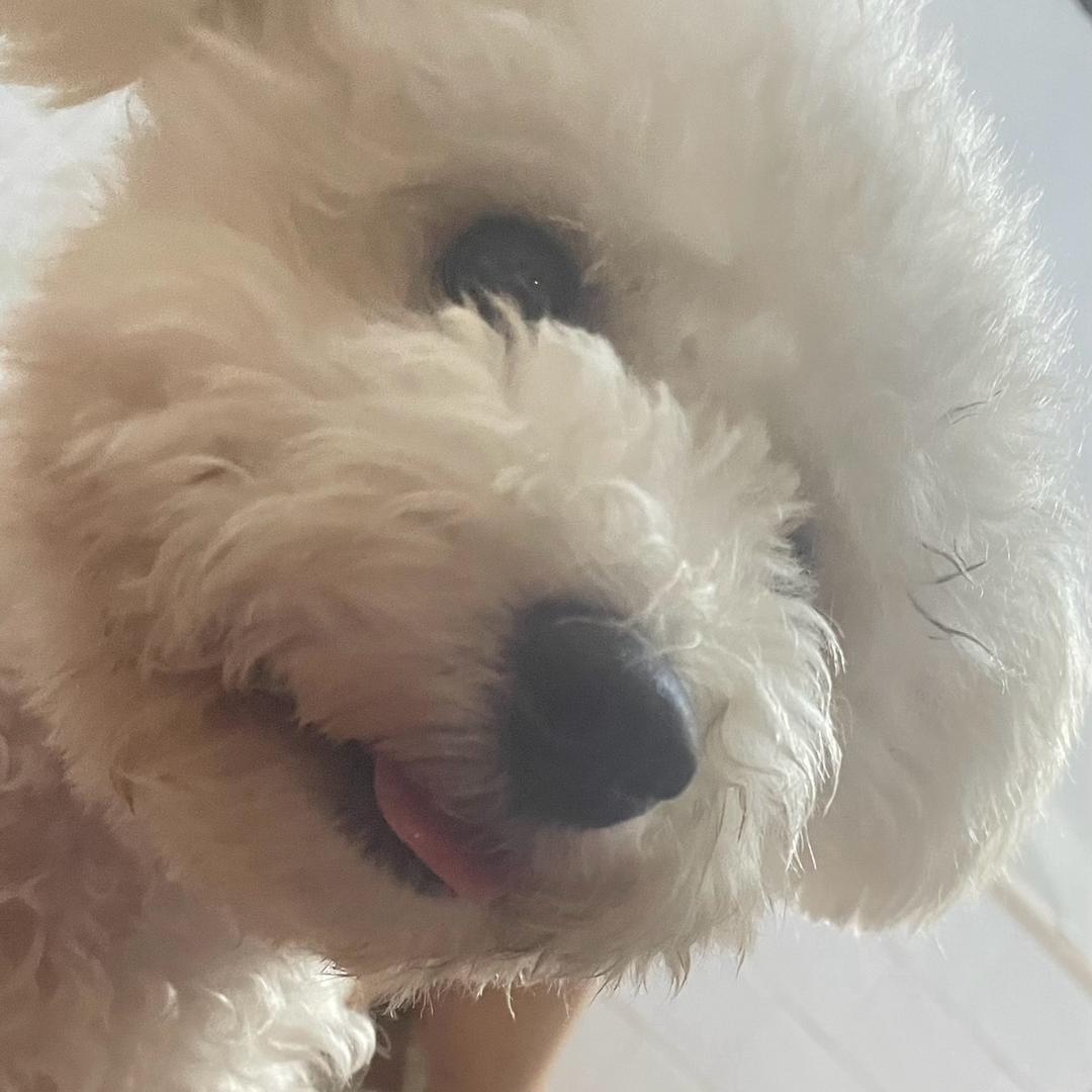 妖怪，哪里逃🫴