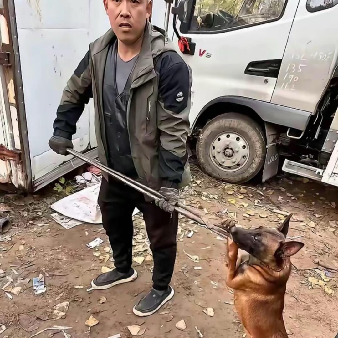 源哥专业套狗 ㅤ       ㅤ