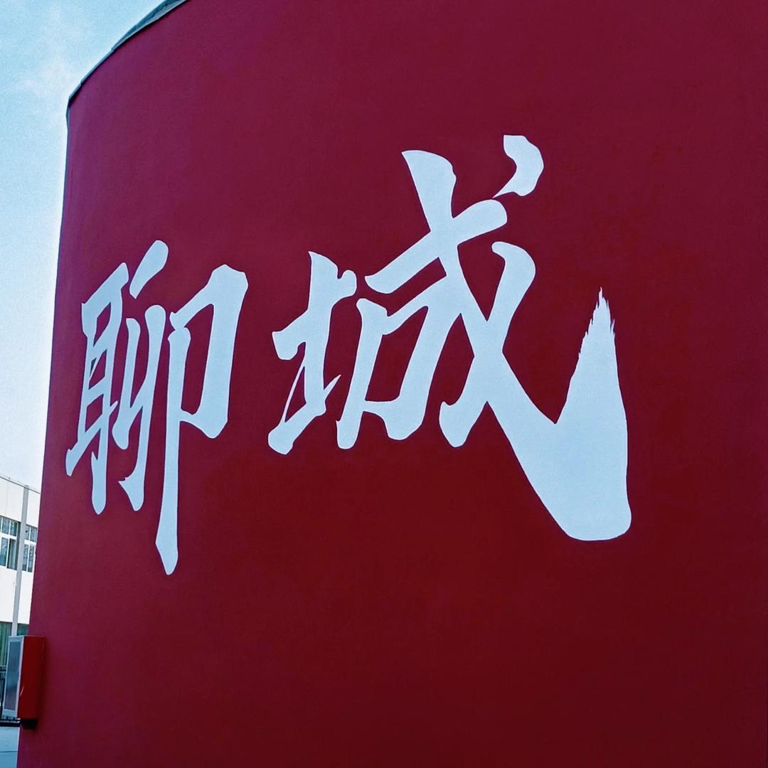 山东有限公司