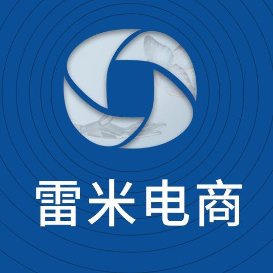 雷米实业有限公司乐清分公司