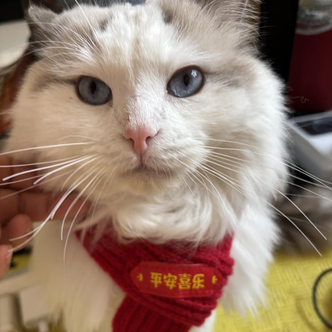 雪尚松金钻服饰配饰专卖店