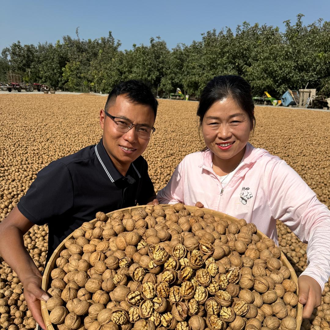 敬敬干果甄选店