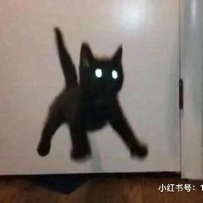 呆胶布