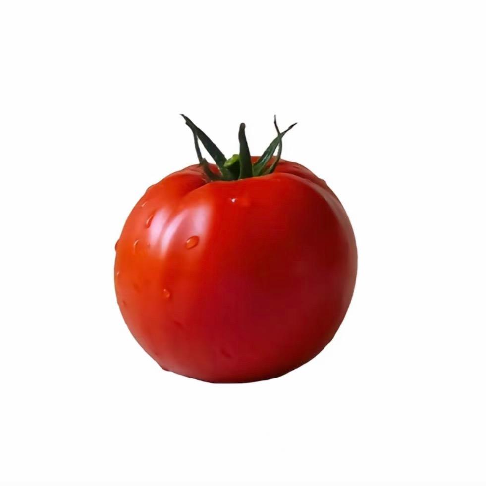 红番茄🍅