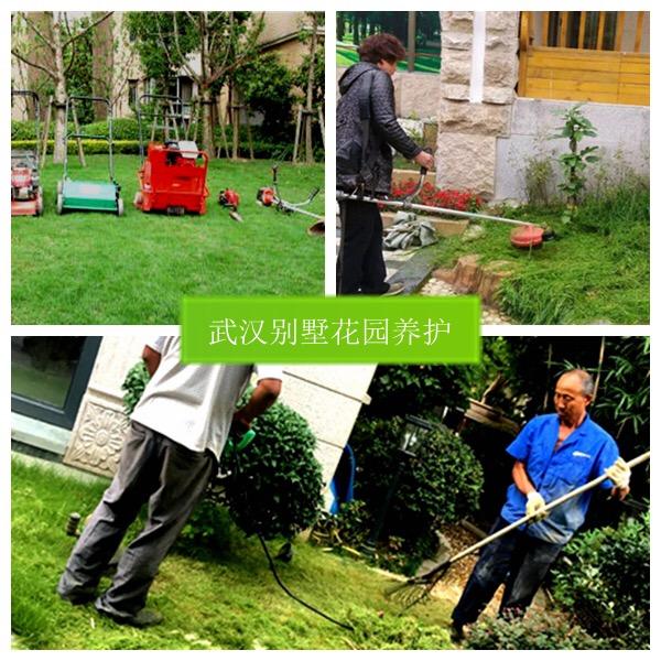 武汉别墅花园养护
