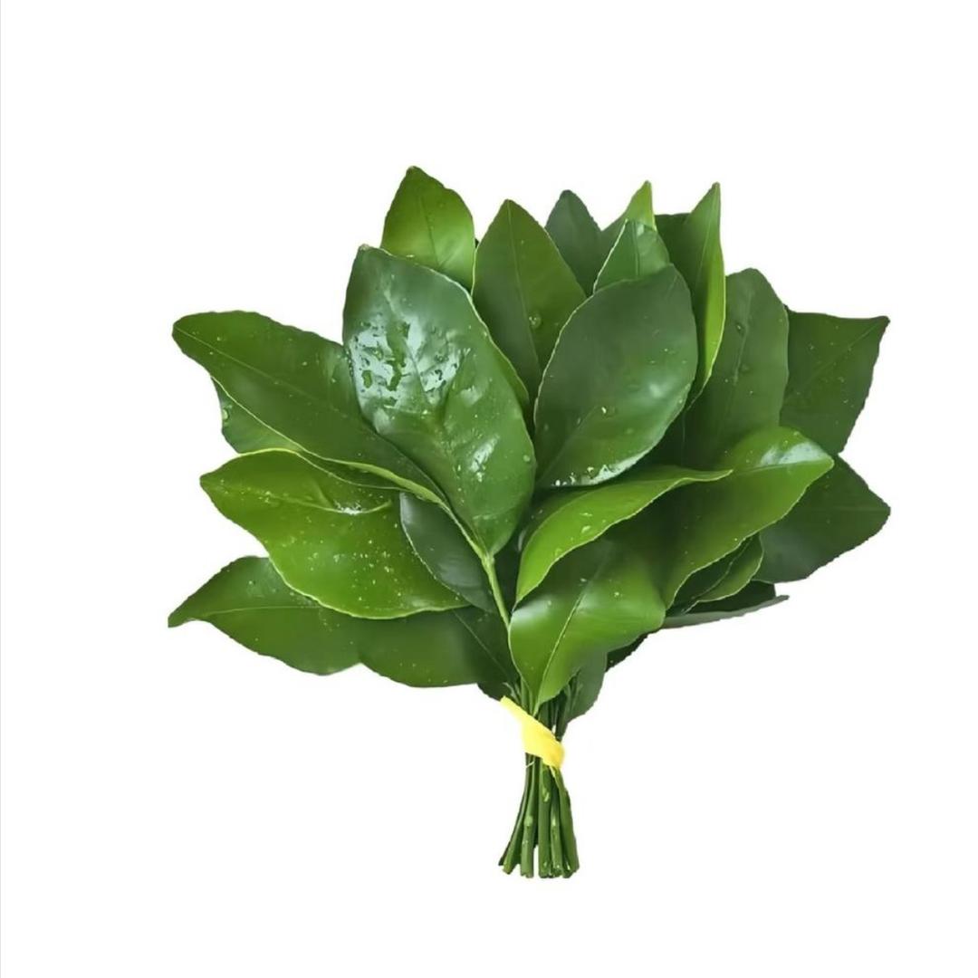 宠溺