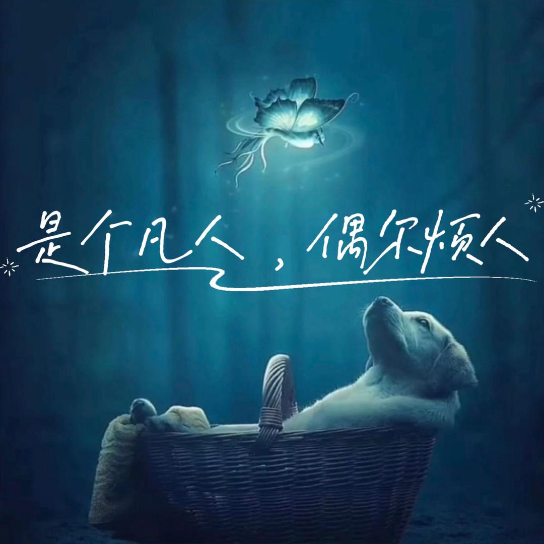 只有相思无尽处