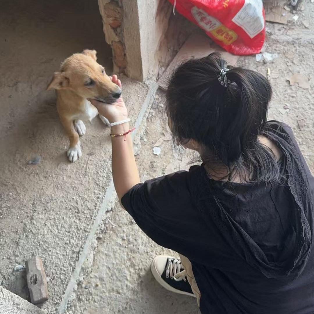 跑不快的女机油