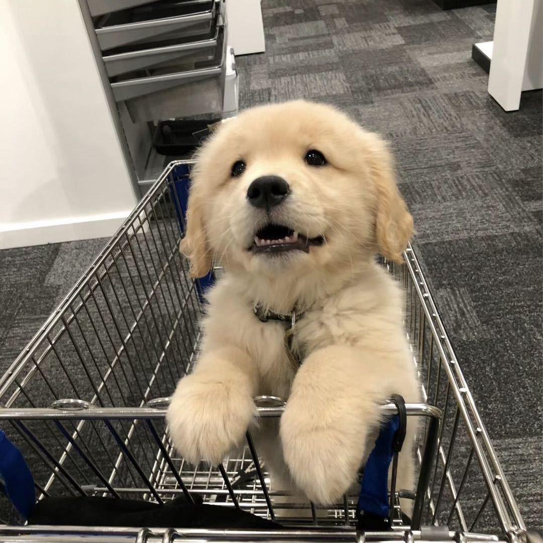 企鹅泛娱乐（科润城店）