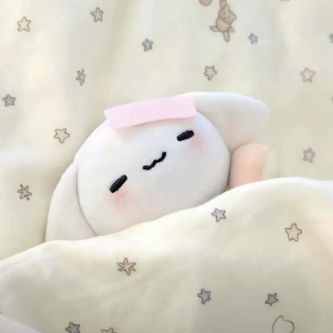 兔咪狗豆