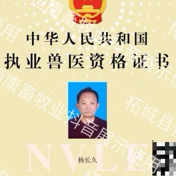 执业兽医师杨长久 | 专注禽病防治30年