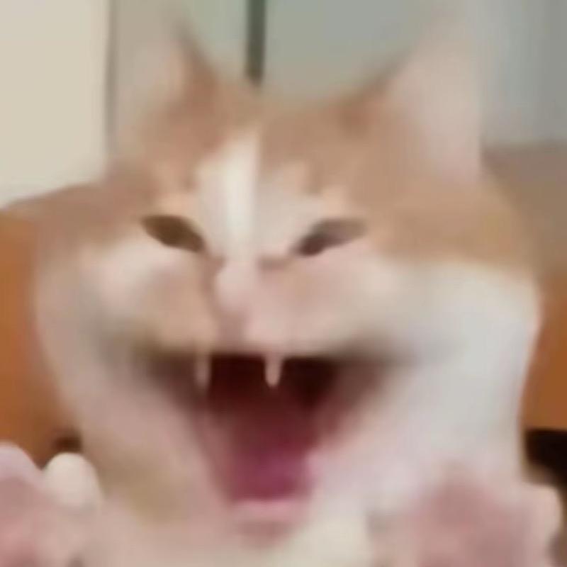 歌坛第一元歌
