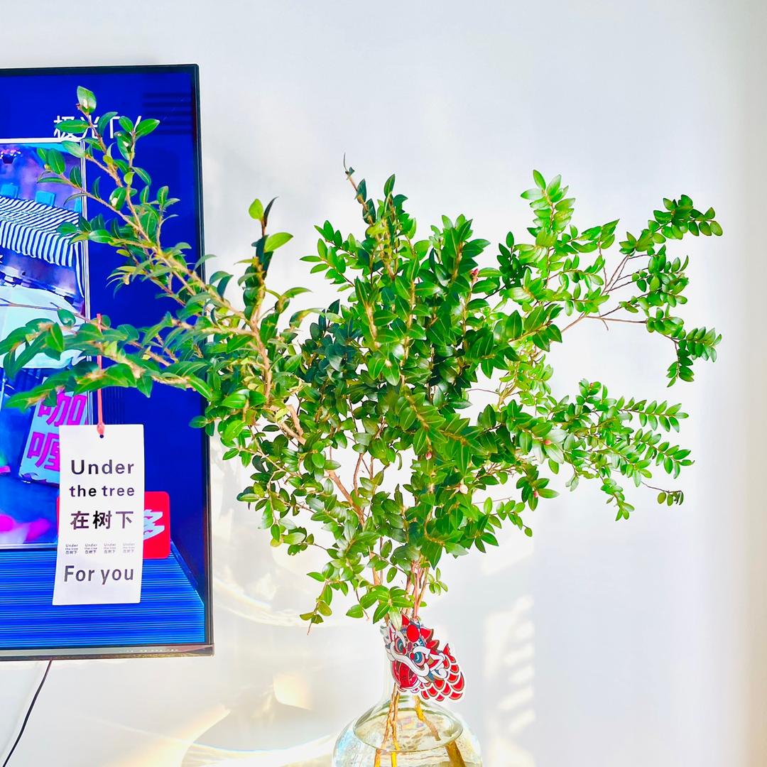 不会生锈的钉子