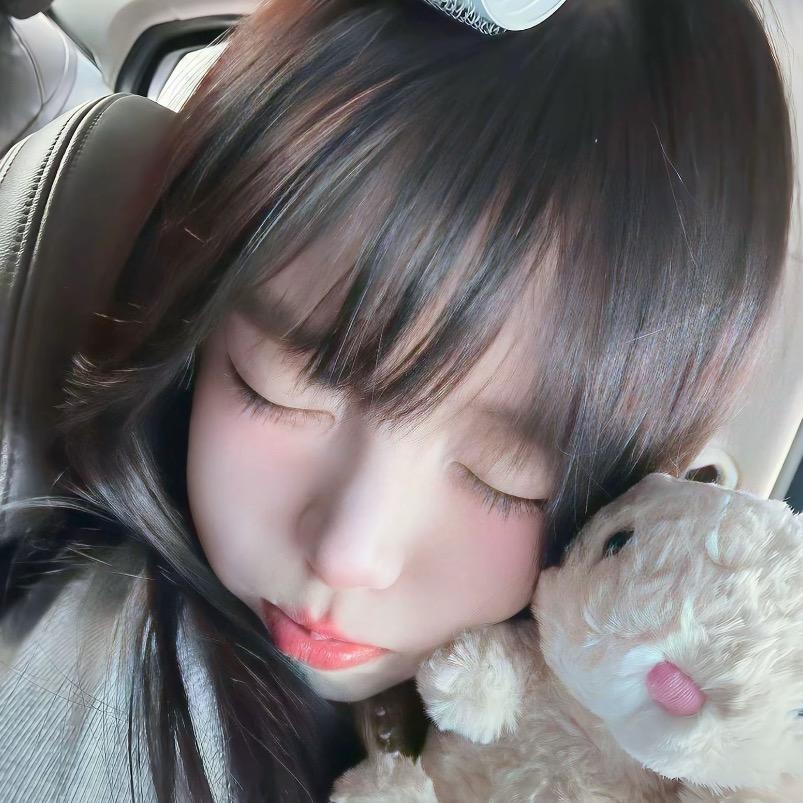 懒猫