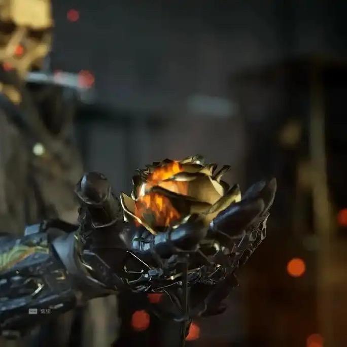 花来(三角洲行动)