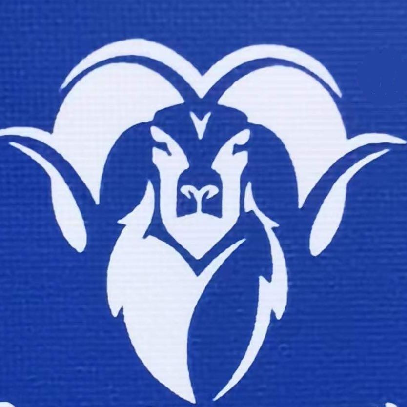 大漠头羊新疆零食店